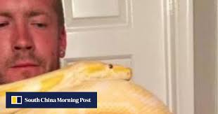 British snake enthusiast was 'cuddled' to death by his pet python 'Tiny',  coroner rules