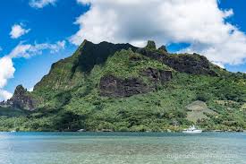 Image result for Mohria