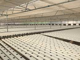 Spreading Hydroponic Farming Technologies Across India Agritecture