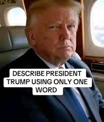 Your mere presence brightens a room... nek 10 ibb scribbler ...in much the  same way that a dumpster fire brightens an alley.