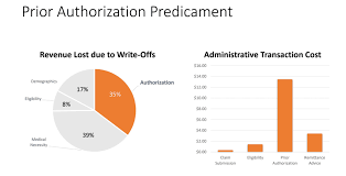 We've provided the following resources to help you understand empire's prior authorization process and obtain authorization for your patients. The Shocking Truth About Prior Authorizations In Healthcare