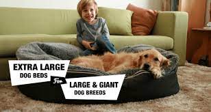Maybe you would like to learn more about one of these? 6 Extra Large Dog Beds For Xl Xxl Dog Breeds Reviewed
