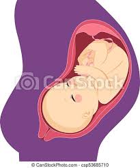 We did not find results for: Baby Belly Womb Human Unborn Baby Fetus On Mom Belly Womb Canstock