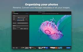 Search Product Hunt Photo Editing Bulk Image Photo Editing Software
