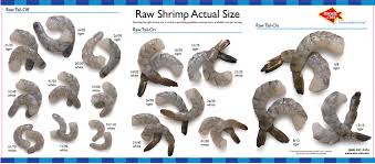 Harvest Of The Sea Hos Shrimp Size Chart Raw Page 1