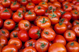 Image result for FRUIT