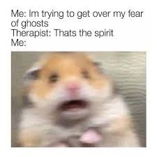 Spooky Meme Queen On Instagram Idk Why I Found This So Funny But Here Enjoy Lol Today Is Busy And Stressful Funny Memes Funny Sports Pictures Funny Pictures