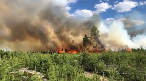 Tänk på brandrisken när ni är ute i naturen och respektera eventuella eldningsförbud! Skogsbrand Skogsbrand Detonerar Minor I Sodra Kroatien Utrikes Svenska Yle Fi Boreal Pine Forest In Estonia One And Two Years After A Wildfire Gustijamhakbar