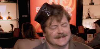 I'm Nick Offerman. I play Ron Swanson