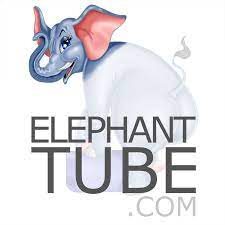 Elephant porn tube