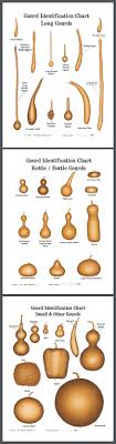 Periodically Gourds January 2017