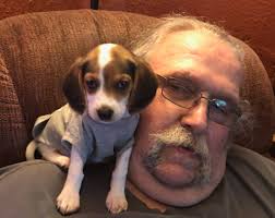 Obituary for Allen Eugene Cline