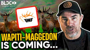 Forest and Bird at it Again