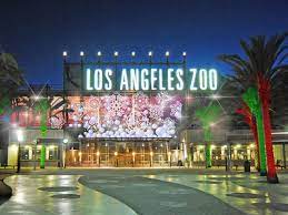 Los Angeles Zoo Zoo Lights Activities In Los Angeles