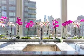 Our post has all the best tips and tricks that you won't want to miss. How To Grow Orchids At Home Houzz