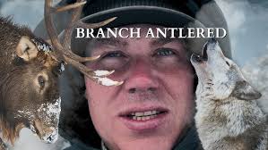 2016 North Idaho Elk Shed Hunting and Wolf Hunting ( EARLY DROPS ) Brandon  Pitcher Part 3