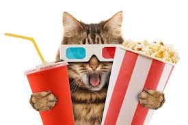 The same names are also used to refer to the foodstuff produced by the expansion. Can Cats Eat Popcorn Is Popcorn Dangerous For Your Kitty