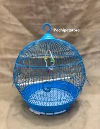 Membuat sangkar burung sendiri dari bahan besi beton 6mm dan ram warmes/strimin. Kandang Perkutut Shopee Indonesia