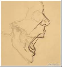 Drawing tongue, tongue, white, face png. How To Draw An Open Mouth From The Side With Sycra Yasin Sketches Anatomy Art Art Reference Poses