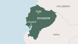 Ecuador is one of the best destinations in the world to explore underwater because the beauty of the entire south pacific is concentrated in its colorful marine fauna, its underwater cliffs, corals and more. Ecuador