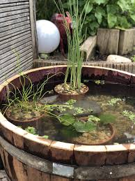 Jetzt Wird Es Nass Diy Miniteich Im Holzfass Miniteich Holzfass Brunnen Garten