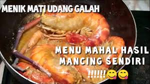 Hari ini saya gantikan dengan pucuk paku. Makan Udang Galah Hasil Mancing Sendiri Udang Galah Masak Kuning Pedas Udang Galah Masak Kunyit Youtube