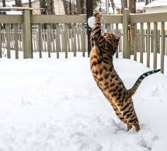 Frasi cattive laurea frasi sugli occhi neri frasi su se stessi negative frasi belle brevi famose frasi amore per whatsapp frasi di buongiorno buon martedi frasi d. Immagini Invernali Le Piu Belle Viste Su Instagram Foto 6 20 Qnm