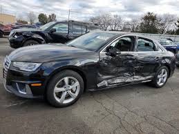 Image result for Argus Brown 2019 A4