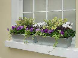 Start by taking a walk around your yard. Image Result For Formal Planting Scheme For Window Boxes Winter Window Boxes Window Box Flowers Fall Window Boxes