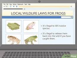 How to get rid of frogs in my garden. How To Get Rid Of Frogs With Pictures Wikihow