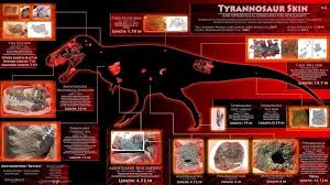 See more ideas about bones funny, rex, trex jokes. Top 10 Lies About The Tyrannosaurus Rex Science Amino