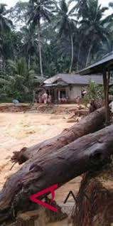 Lowongan kerja pt sukorintex batang / lowongan kerja pt. Banjir Juga Landa Muara Batang Gadis Antara News Sumatera Utara