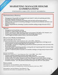 How To Write A Resume Profile Professional Examples