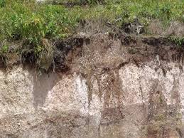 Mengitlak jenis tanah yang sesuai on vimeo. Jenis Jenis Tanah Materi Kelas 5 Sekolah Dasar