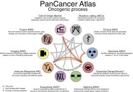A cancer diagnosis affects not only the sufferer, but the spouse as well, and the marriage. Perspective On Oncogenic Processes At The End Of The Beginning Of Cancer Genomics Sciencedirect