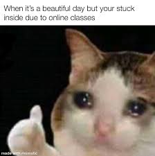 I mainly created this so the cov memes can be dropped in. Screw You Covid Memes