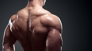 For this program, start with ~250 calorie deficit for the first 4 weeks after establishing a baseline (~2 weeks). The Ultimate 7 Day Workout Plan Routine Greatest Physiques