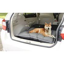 Elevated beds are often the best choice for heavy chewers, but there are. Great Dane Dog Bed Wayfair