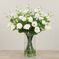 Image result for eustoma lisianthus in vase