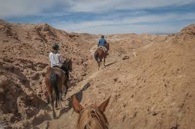 However, the quality of the. Die Atacama Wuste In Chile 5 Spannende Abenteuer Tipps