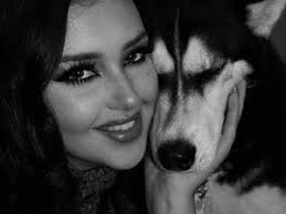 Anuko the husky: Meet the grumpy faced Shropshire sensation who has taken  the internet by storm