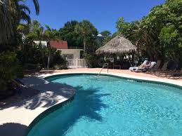 Snorkeling Anna Maria Island: Best Sites & Top Tours In 2024