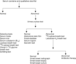 Pancreatic cancer symptoms signs symptoms of pancreatic cancer. Steatorrhea An Overview Sciencedirect Topics