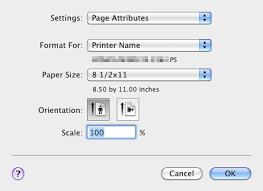 Konica minolta bizhub c364 copier printer scanner fax. Page Setup Window Of The Printer Driver