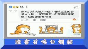 三種在臉書召喚白爛貓gif動態圖