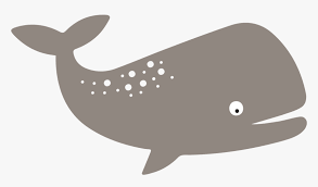 Download Whale Svg Hd Png Download Transparent Png Image Pngitem