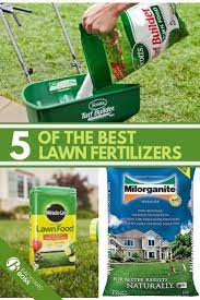 5 Of The Best Lawn Fertilizers Lawn Fertilizers Lawn Fertilizer Lawn Fertilizer Schedule