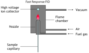 Flame ionization detectors work on the principle of ions liberated in the combustion of the sample species. Fast Fid Principles Cambustion