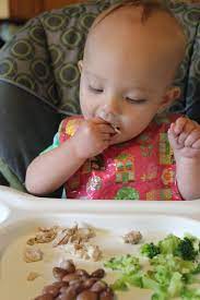 Fast & free shipping in usa. 10 Tips For Starting Your Baby On Solid Food The Science Of Mom