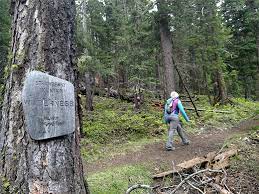 Your cookout adventure begins with a 2 hour horseback ride providing fantastic views of strawberry mountain and into glacier national park. Malheur National Forest Strawberry Mountain Wilderness